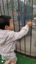 -萌宠亲子动物乐园(槐房万达店)