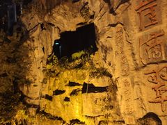 -李子坝梁山鸡(李子坝大鸡哥店)