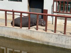 -青藏高原野生动物园