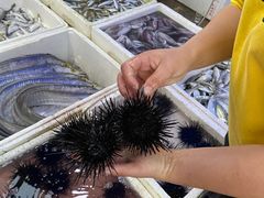 -外伶仃岛海鲜市场