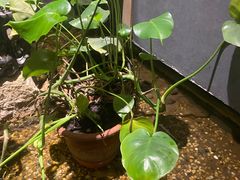 -邈墨茶馆(凤起路店)