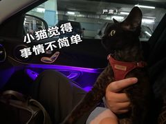 -美联众合动物医院·24h转诊中心