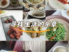 -鱼翅楼·津派砂锅鱼翅(水上公园店)