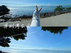 -深圳湾公园(南山区)