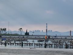 -东港音乐喷泉广场