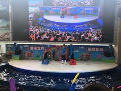 -成都浩海立方海洋公园