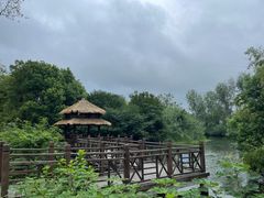 -溱湖国家湿地公园