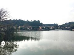 -明珠海港大酒店