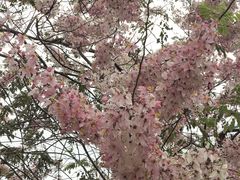 -白石龙音乐公园