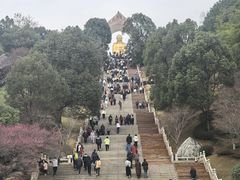 -庐山风景名胜区-东林大佛