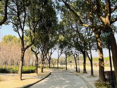 -上海市龙华烈士陵园