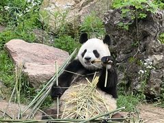 -宁波野生动物园