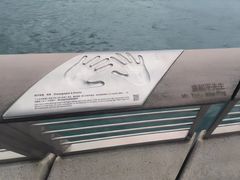 -星光大道