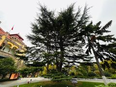-青岛德国总督楼旧址博物馆