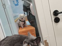 -纳吉亚猫专科动物医院·北北分院