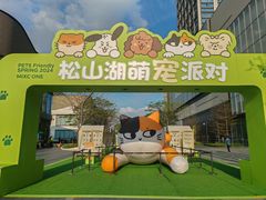 -东莞松山湖万象汇