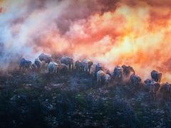 -罗红摄影艺术馆