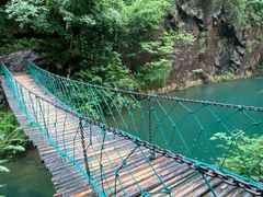 -大奇山国家森林公园