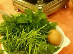 -深运潮州粥(东门店)