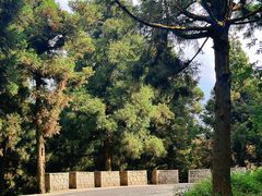 -南岳衡山风景名胜区