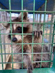 -萌宠亲子动物乐园(槐房万达店)