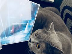 -Hi Fi Acoustic 梵香禅韵·色声香味