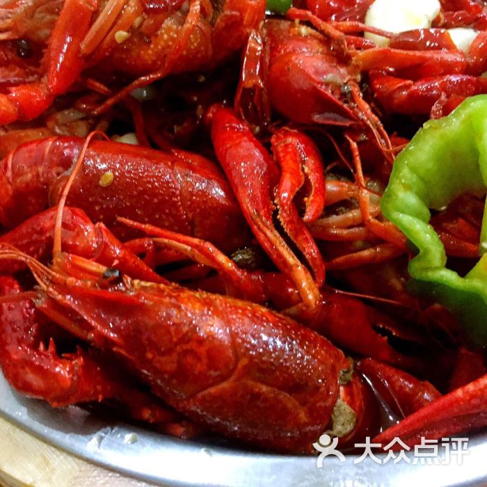 阿木龙虾图片 - 第98张