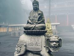 -武陵山森林公园