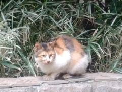 -苏州河梦清园环保主题公园