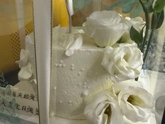 -维尔纳斯·生日蛋糕动物奶油冰淇淋蛋糕(人大店)