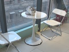 -怪兽屋·羊驼·猫咖·狗咖(俊华广场店)