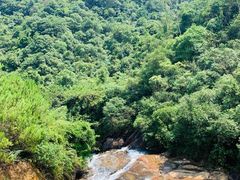 -广州白江湖森林公园