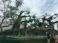 -秦皇岛乐岛海洋王国