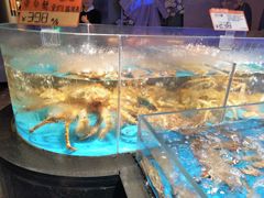 -徐记海鲜(大雁塔|金都店)