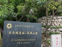 -原山国家森林公园