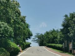 -火炉山森林公园