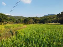 -塔川景区