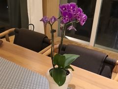 -无味舒食(环岛路店)