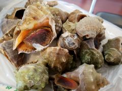 清蒸海螺-张会海鲜饭店(东戴河店)