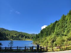 -武陵山森林公园