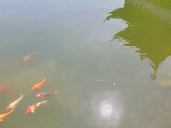 -张家港凤凰山景区河阳山歌馆