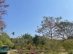 -中国科学院西双版纳热带植物园
