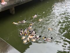 -浙江省博物馆(孤山馆区)