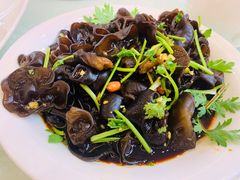 野菜花生捞木耳-黄埔华苑酒家(黄埔总店)