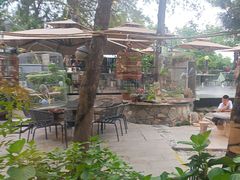 -蘇河湾·新鲁菜·泰山宴(泰山店)