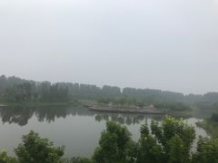 -东郊湿地公园