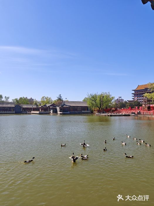 大明幻境第一城图片