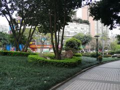 -神仙树公园