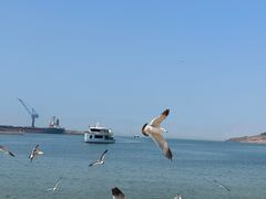 -海驴岛(荣成市)