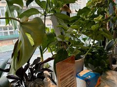 -懒人盐府人家(航天桥店)